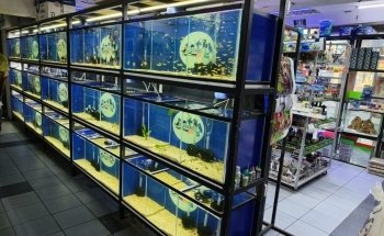 AQUARIUM