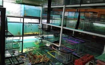 AQUARIUM
