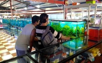Acuario Tlaxcala, Acuatlax