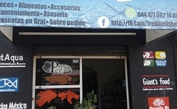 Acuario Pepe Pez