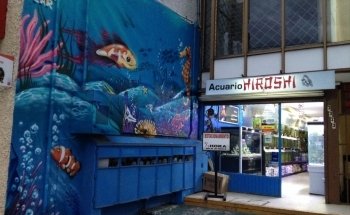 Acuario Hiroshi Galeria