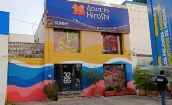 Acuario Hiroshi Galería