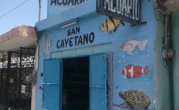 AQUARIUS SAN CAYETANO