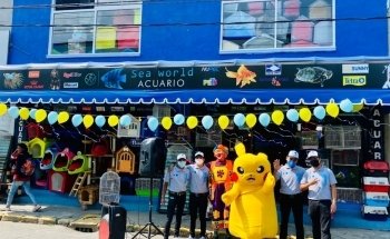 Sea World Acuario