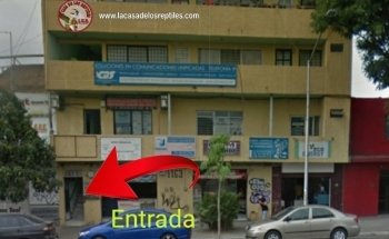 La Casa de los Reptiles
