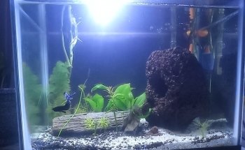 Acuario Hábitat