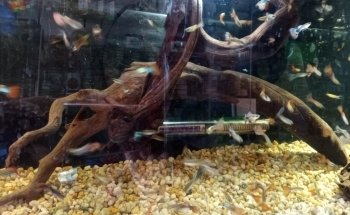Acuario Hábitat
