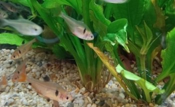 Acuario Hábitat