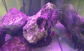 Acuario Hábitat