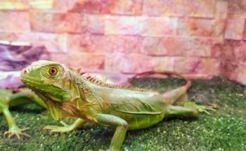 Acuario Hábitat