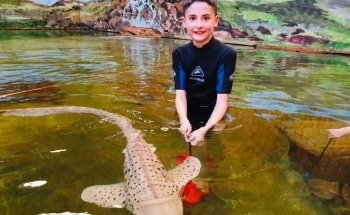 Irukandji Shark & Ray Encounters