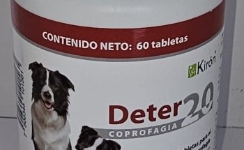 Veterinaria Correcaminos guaycura