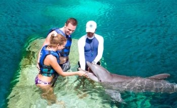 Delphinus Punta Cancún