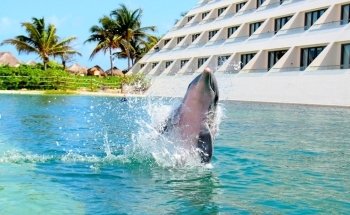 Delphinus Punta Cancún