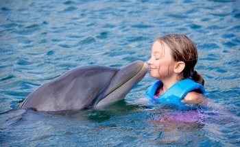 Delphinus Punta Cancún