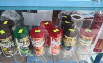 Acuario Borrayos
