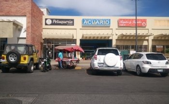 Acuario Borrayos