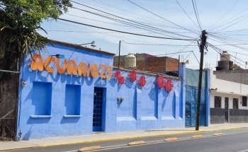 Acuario 23