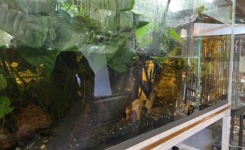 Acuario 23