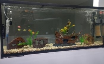Acuario 23
