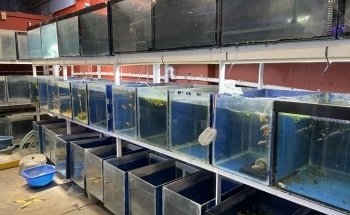 Acuario 23