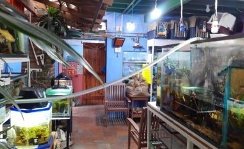 Acuario 23