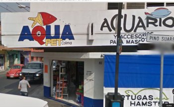 Acuario Aqua Pet Colima MATRIZ