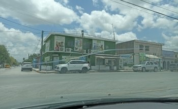 Petstore México