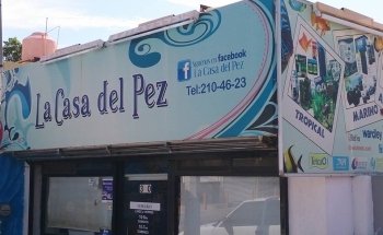 The Fish House