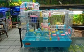 Acuario Williams