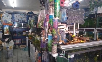 Acuario Williams