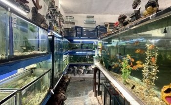 Acuario Y Aviario Happy Fish