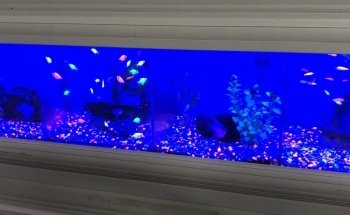 Acuario Y Aviario Happy Fish