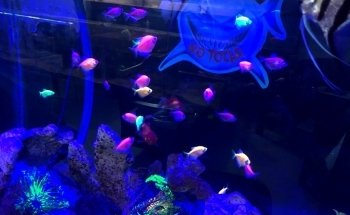Acuario Y Aviario Happy Fish