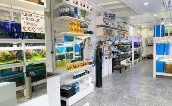 Melbourne Tropical Fish & Aquarium Plants