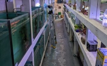 Melbourne Tropical Fish & Aquarium Plants