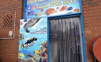Melbourne Tropical Fish & Aquarium Plants