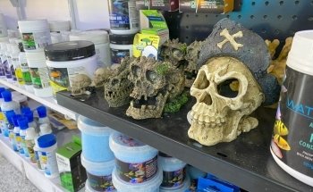 Melbourne Tropical Fish & Aquarium Plants