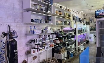 Melbourne Tropical Fish & Aquarium Plants