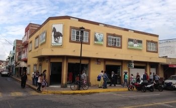 Veterinaria Nava Castillo