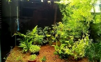 Acuario MUNDO PEZ