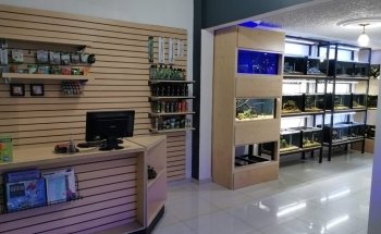Acuática Acuario