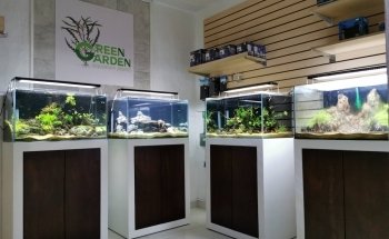 Acuática Acuario