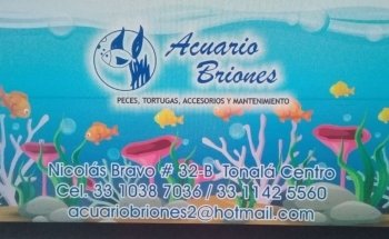 Acuario Briones Tonalá