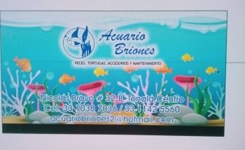 Acuario Briones Tonalá