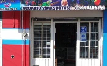 Acuario Casa del Pez