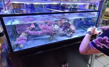 Acuario Tritón