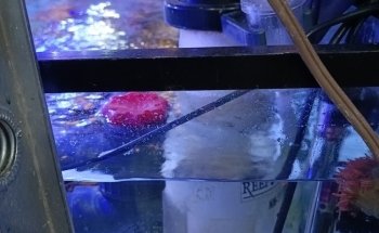 Acuario Tritón