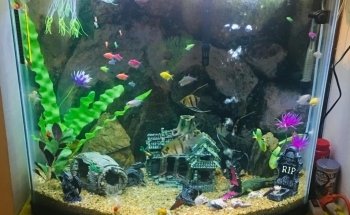 Acuario Isla Tortuga