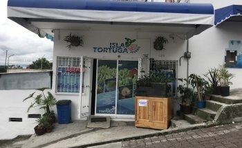 Acuario Isla Tortuga